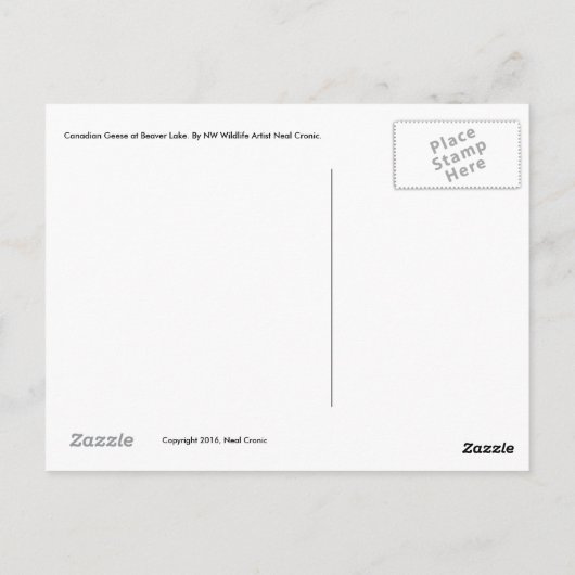 Canadese ganzen op het Beaver Lake. -briefkaart Briefkaart (Achterkant)