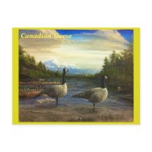 Canadese ganzen op het Beaver Lake. -briefkaart
