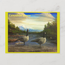 Canadese ganzen op het Beaver Lake. -briefkaart Briefkaart