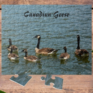 Canadese ganzen op Lake Photographic Legpuzzel