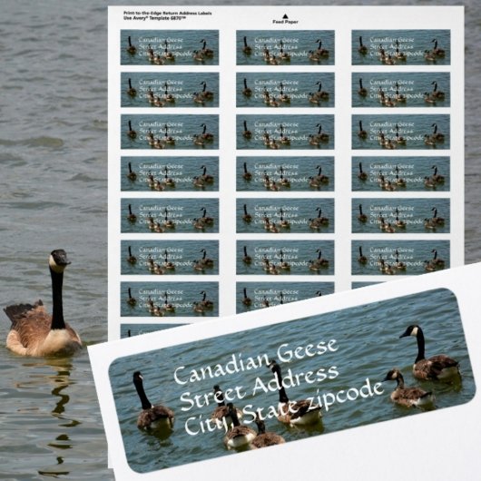 Canadese ganzen op Lake Photographic Return adres Etiket
