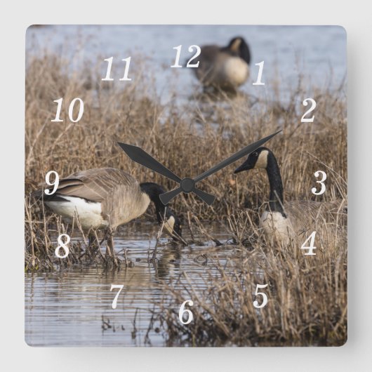 Canadese Ganzen Snack Time Wandklok (Voorkant)
