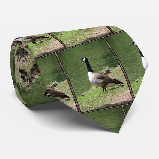 Canadese ganzen stropdas (Opgerold)