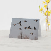 Canadese Ganzen tijdens de vlucht II Kaart (Gele Bloem)