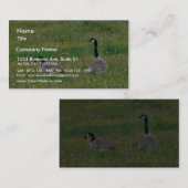 Canadese ganzen visitekaartje (Voorkant / Achterkant)