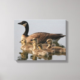 Canadese Ganzen Vogelliefhebbers Geschenken Canvas Afdruk