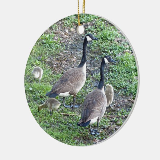 Canadese ganzenfamilie keramisch ornament (Links)