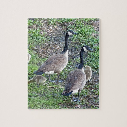 Canadese ganzenfamilie legpuzzel (Verticaal)