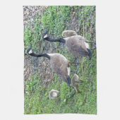 Canadese ganzenfamilie theedoek (Verticaal)