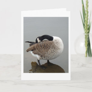 Canadese ganzenkaart kaart