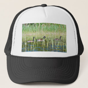 Canadese ganzenzwemmen trucker pet