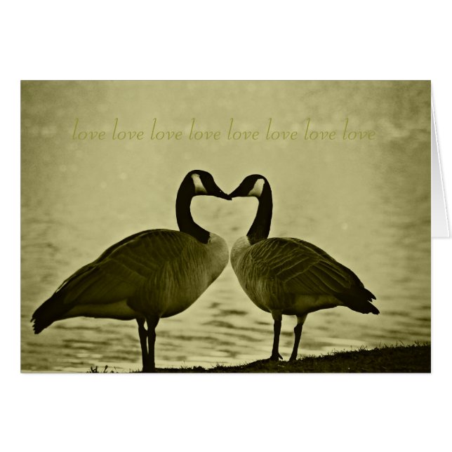 Canadese Gese foto (Voorkant Horizontaal)