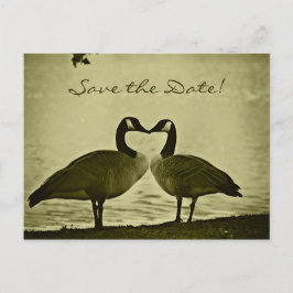 Canadese Gese foto Aankondigingskaart