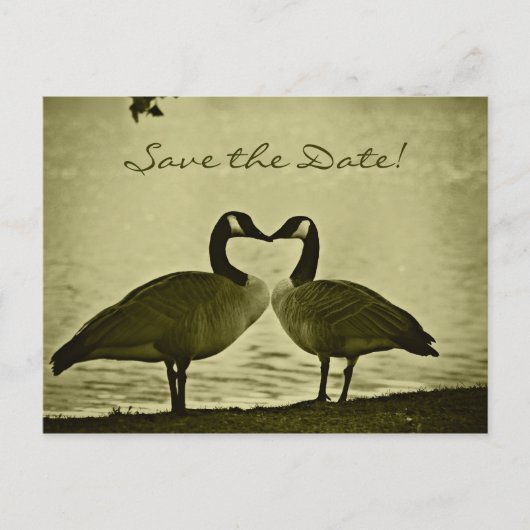 Canadese Gese foto Aankondigingskaart (Voorkant)
