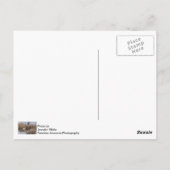 Canadese Gese Snack Time Briefkaart (Achterkant)