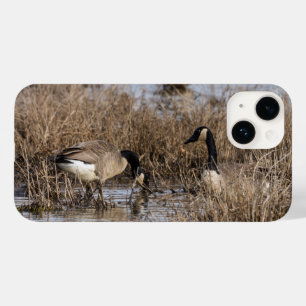 Canadese Gese Snack Time iPhone Case
