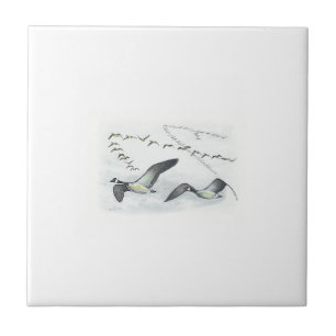 Canadese Gese Tile. Tegeltje