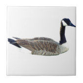 Canadese Goose Tile Tegeltje (Voorkant)