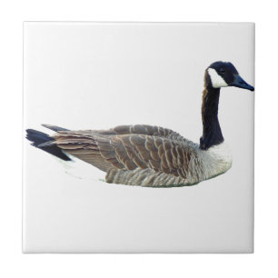 Canadese Goose Tile Tegeltje