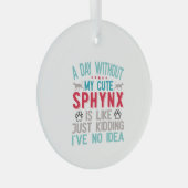 Canadese haarloze Sphynx Cat Owner Funny Gezegde Glas Ornament (Voorkant Rechts)