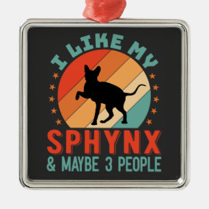 Canadese haarloze Sphynx Kat Eigenaar Humor Metalen Ornament