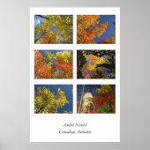 Canadese herfst poster (Voorkant)