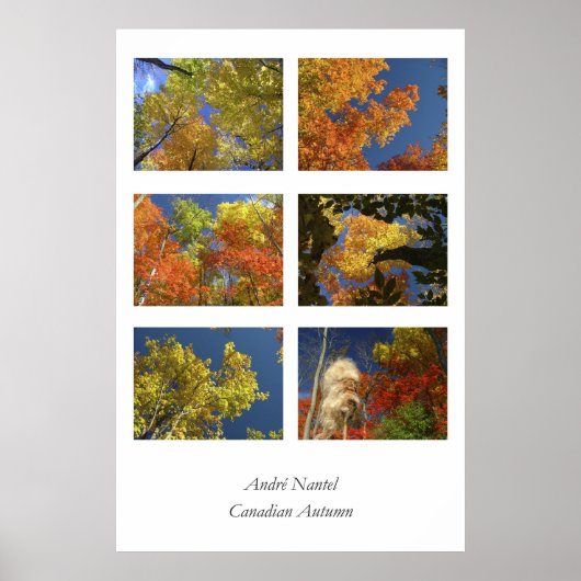 Canadese herfst poster (Voorkant)