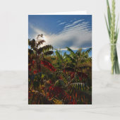 Canadese herfstkleuren Blank Kaart (Voorkant)