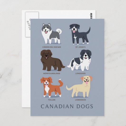 Canadese honden briefkaart (Voorkant / Achterkant)