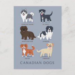 Canadese honden briefkaart