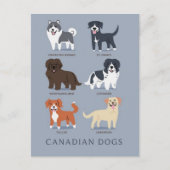 Canadese honden briefkaart (Voorkant)