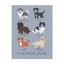 Canadese honden
