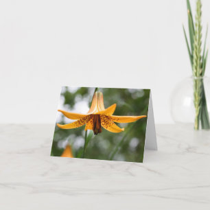 Canadese lelie bloem fotografie notitiekaartje