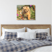 Canadese Lynx Jong, Alaska Canvas Afdruk (Insitu (Slaapkamer))