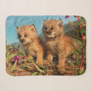 Canadese Lynx Jongen, Alaska Sherpa Deken