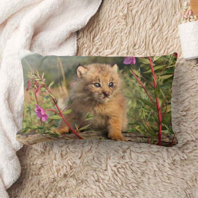 Canadese Lynx Kitten, Alaska Kussen (Deken)