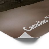Canadese Marmer Vos Poster (Hoek)