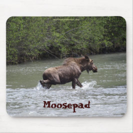Canadese Moose Grappige Wildlife Mousepad Muismat