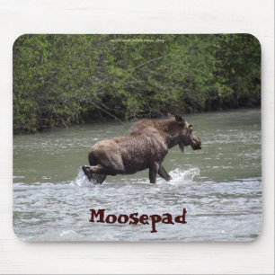 Canadese Moose Grappige Wildlife Mousepad Muismat