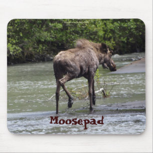 Canadese Moose Grappige Wildlife Mousepad Muismat