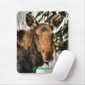 Canadese Moose Portret Grappige Wildlife Mousemat Muismat (Met muis)