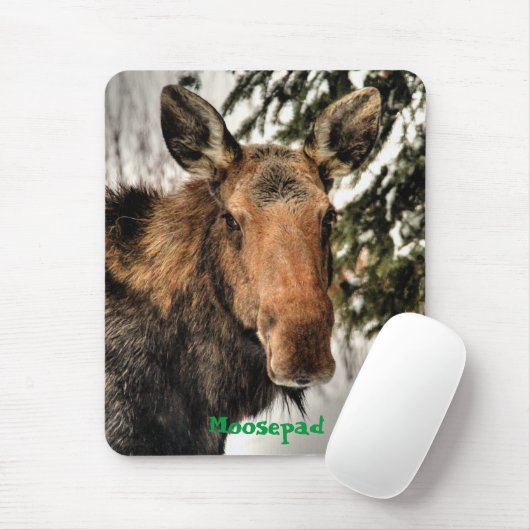 Canadese Moose Portret Grappige Wildlife Mousemat Muismat (Met muis)