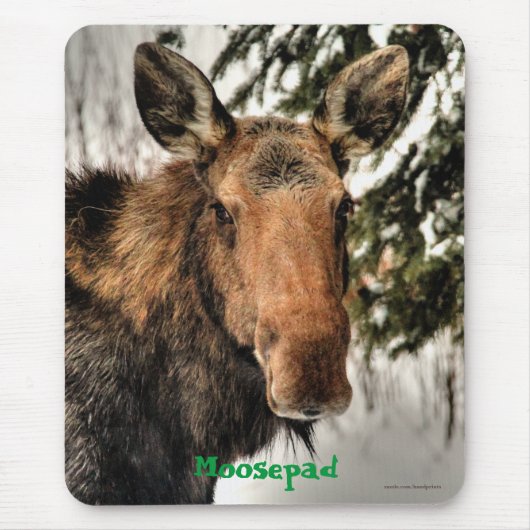 Canadese Moose Portret Grappige Wildlife Mousemat Muismat (Voorkant)