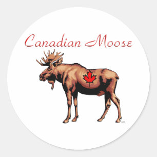 Canadese Moose Stickers