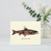 Canadese rode forel illustratieschema briefkaart (Staand voorkant)