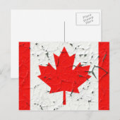 Canadese rode mantel Leaf CANADA Peeling Paint Briefkaart (Voorkant / Achterkant)