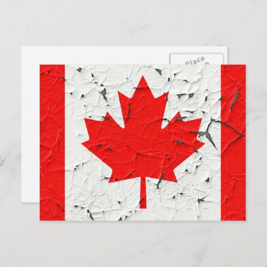 Canadese rode mantel Leaf CANADA Peeling Paint Briefkaart (Voorkant / Achterkant)