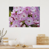 Canadese schoonheid, Floral Pink Phlox Poster (Keuken)