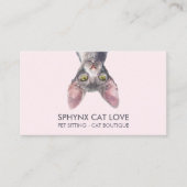 Canadese Sphynx Kat Visitekaartje (Voorkant)