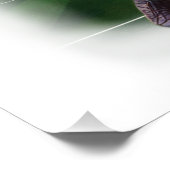 Canadese standbeeld viert voetbal op een perfect poster (Hoek)